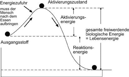 Aktivierungsenergie_PenYang_Prinzip PEN YANG Prinzip biologische Aktivierungsenergie