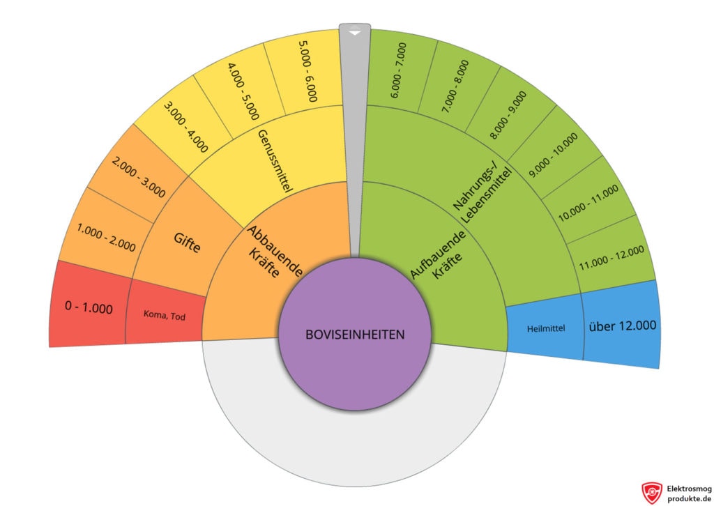 Testtabelle BOVISEINHEITEN