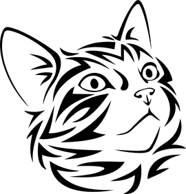 Krafttier Katze
